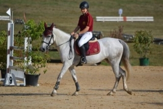  Reiten lernen 